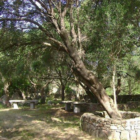 B&B L' Incantu Santa Teresa Gallura Dış mekan fotoğraf