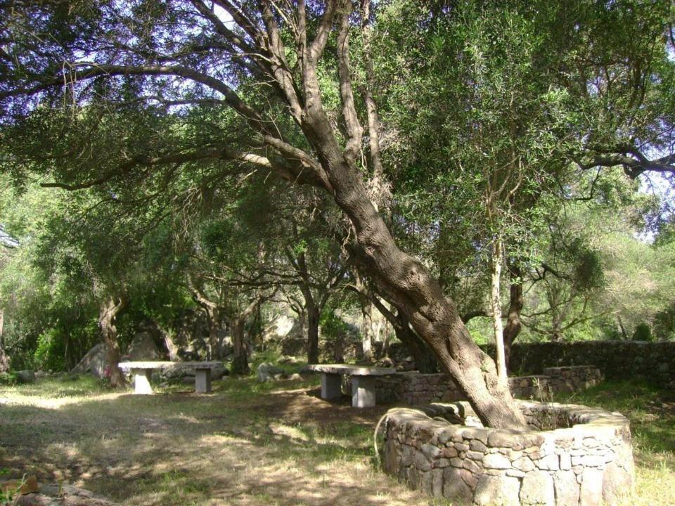 B&B L' Incantu Santa Teresa Gallura Dış mekan fotoğraf