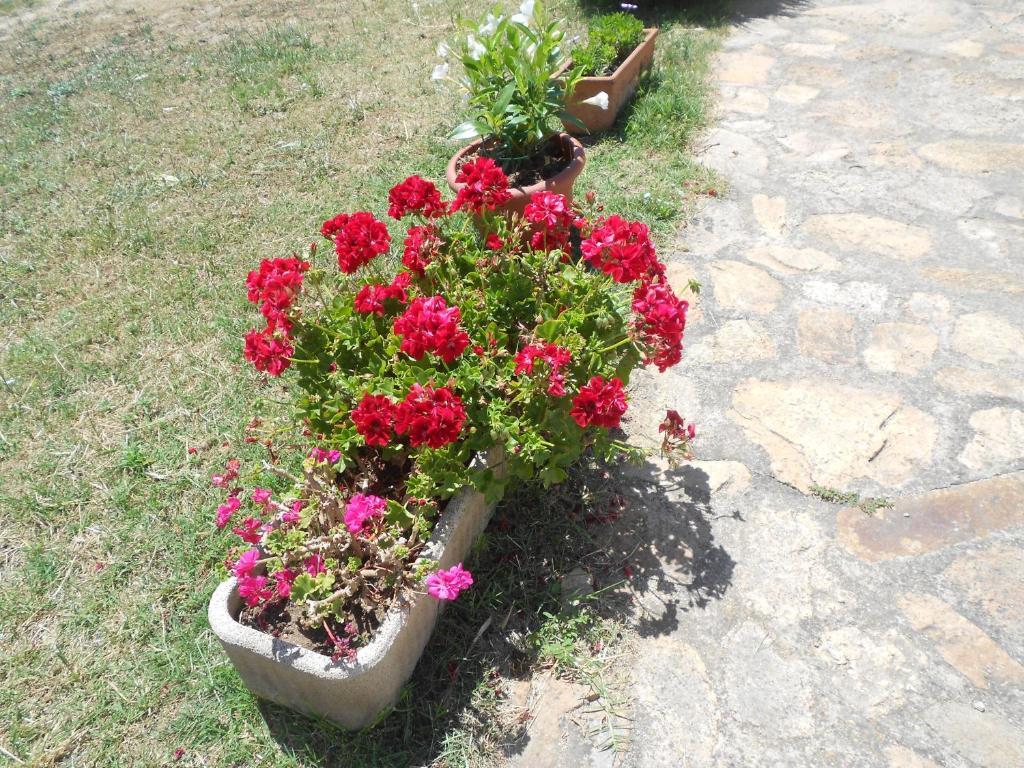 B&B L' Incantu Santa Teresa Gallura Dış mekan fotoğraf